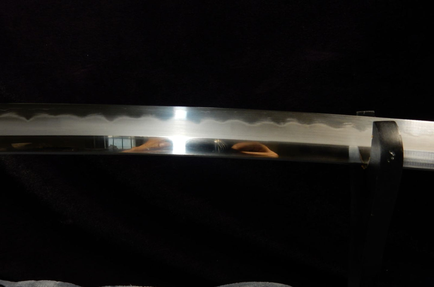 Tang grass wakizashi