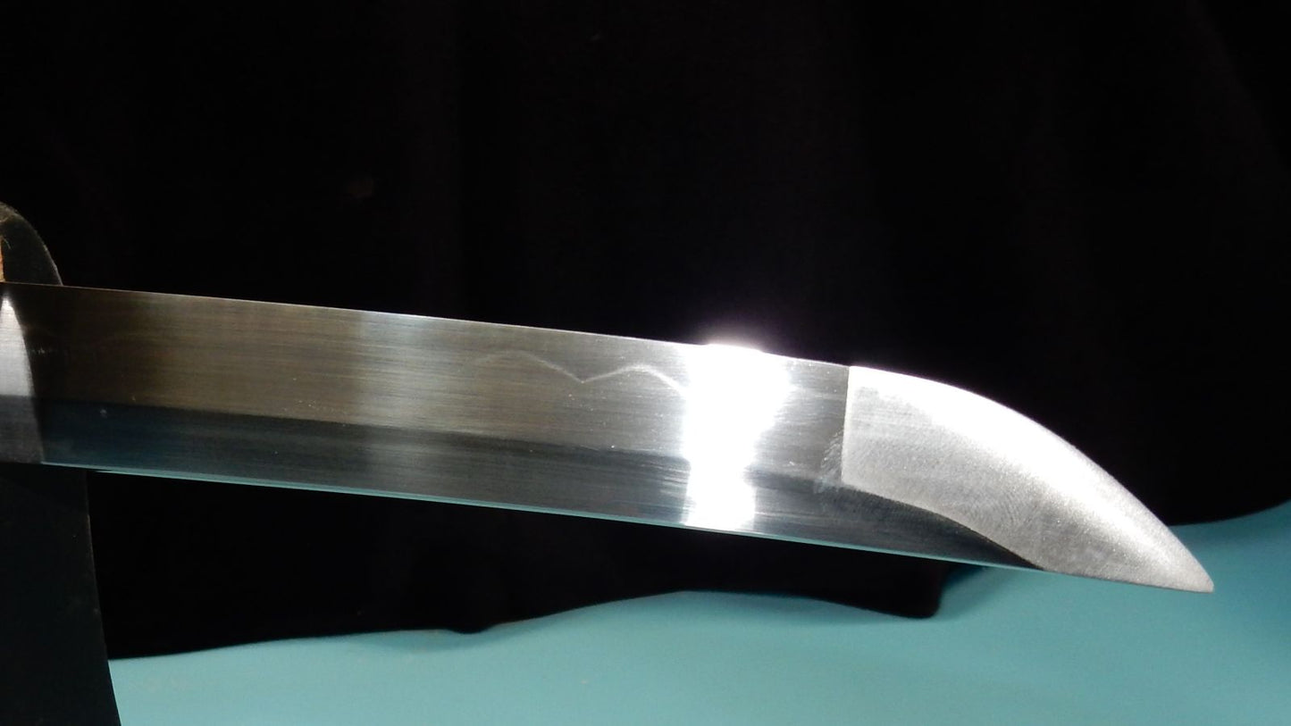 T10 Wakizashi