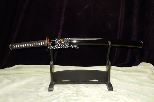 T10 Cosmetic Research Wakizashi