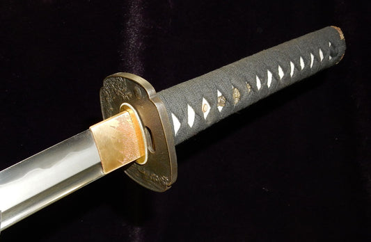 T10 Cosmetic Research Wakizashi